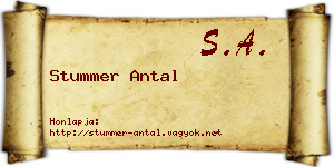 Stummer Antal névjegykártya